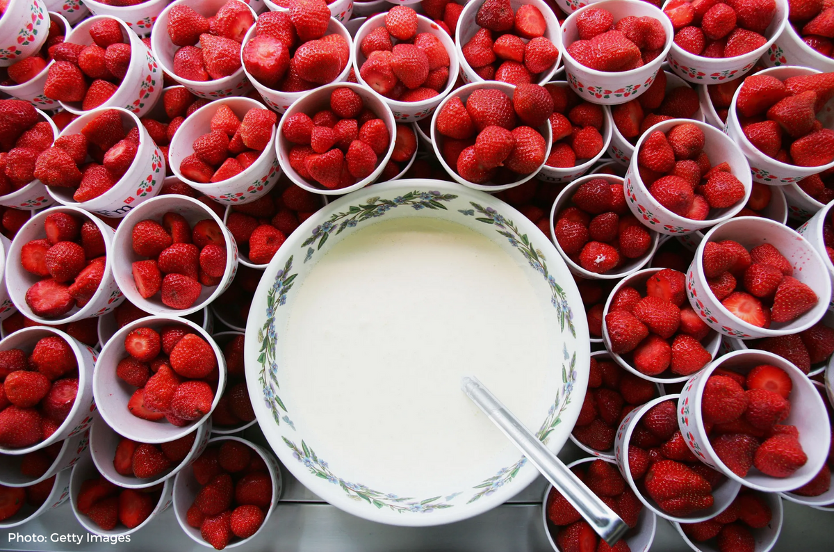 Served Insulated Serving Bowl - Strawberry